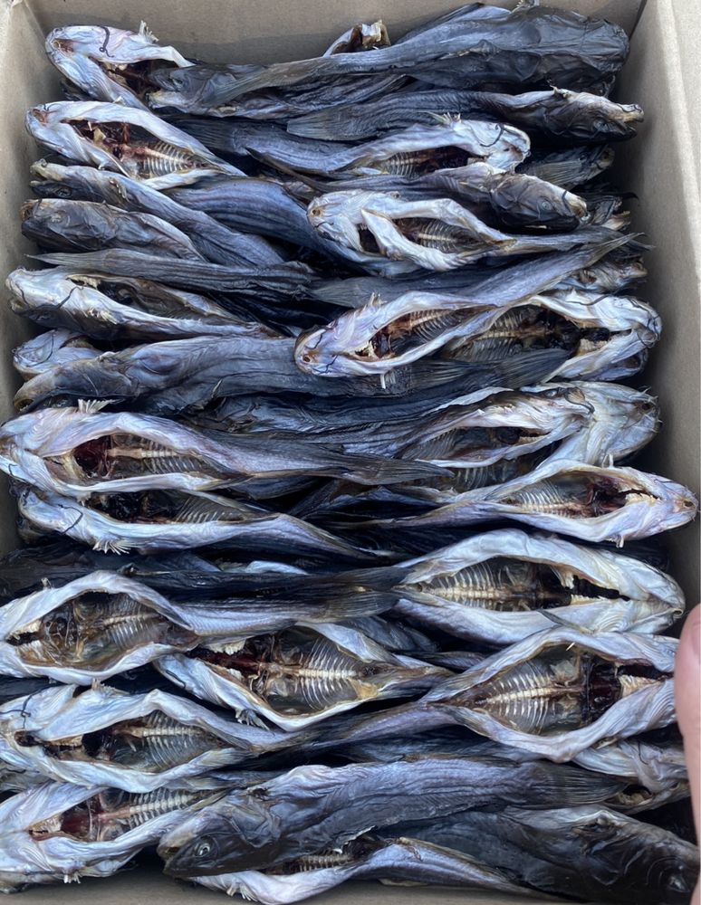 Риба сушена, копчена опт від 5 кг