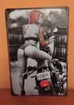 Metalowy plakat, motor, motocykl