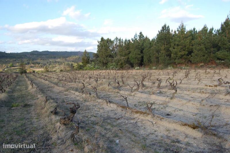 Terreno / Fundão, Três Povos
