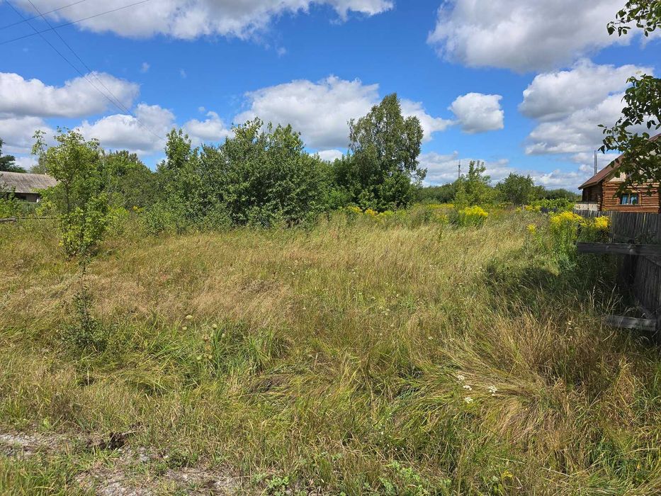 Продаж ділянки 20 сот. Кам'янка (26126076)