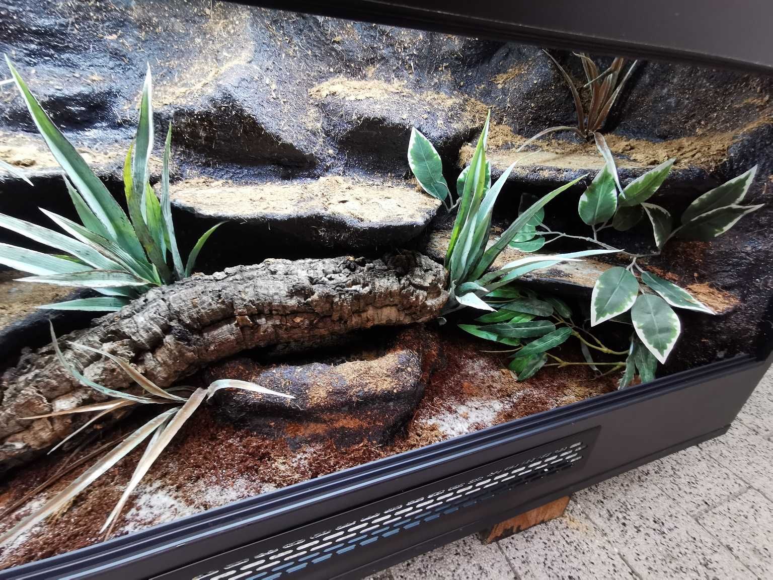 Terrarium dla węża 100/50/50 na zamówienie