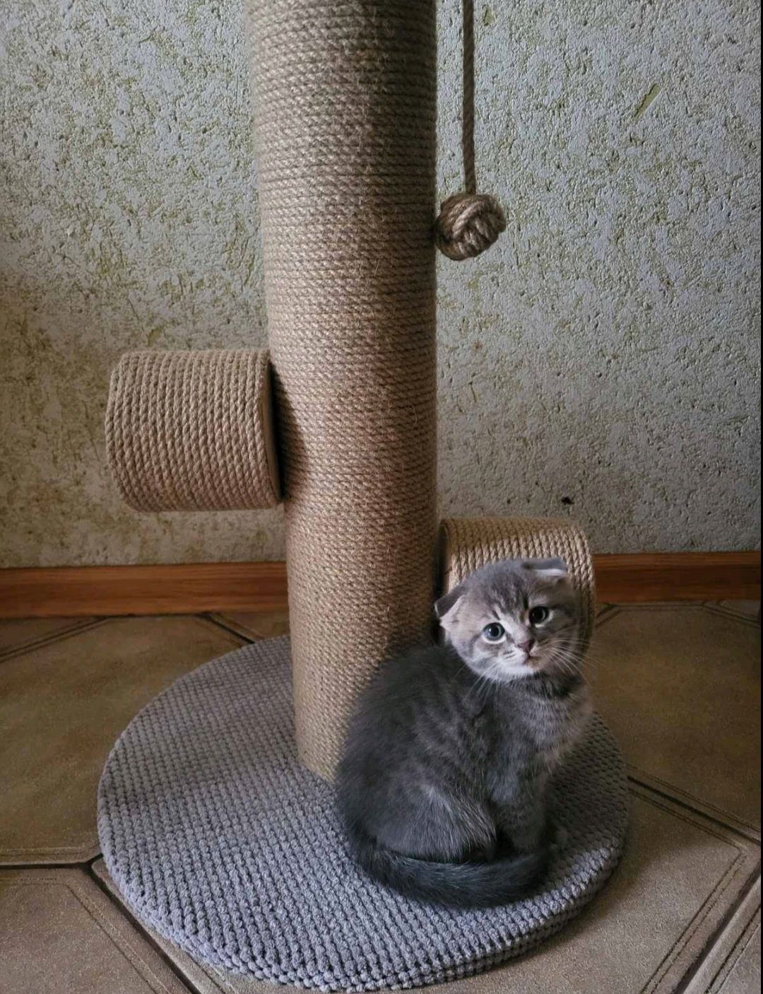 Когтеточка з крутилками для котика