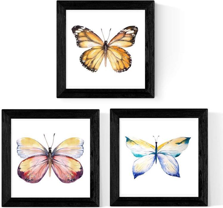 plakat obrazek motyl zestaw 3 sztuk