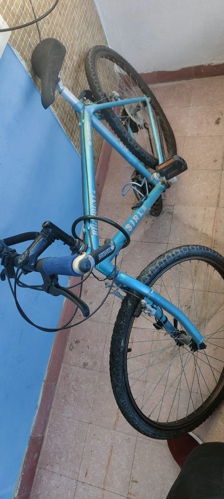 Bicicleta big mount