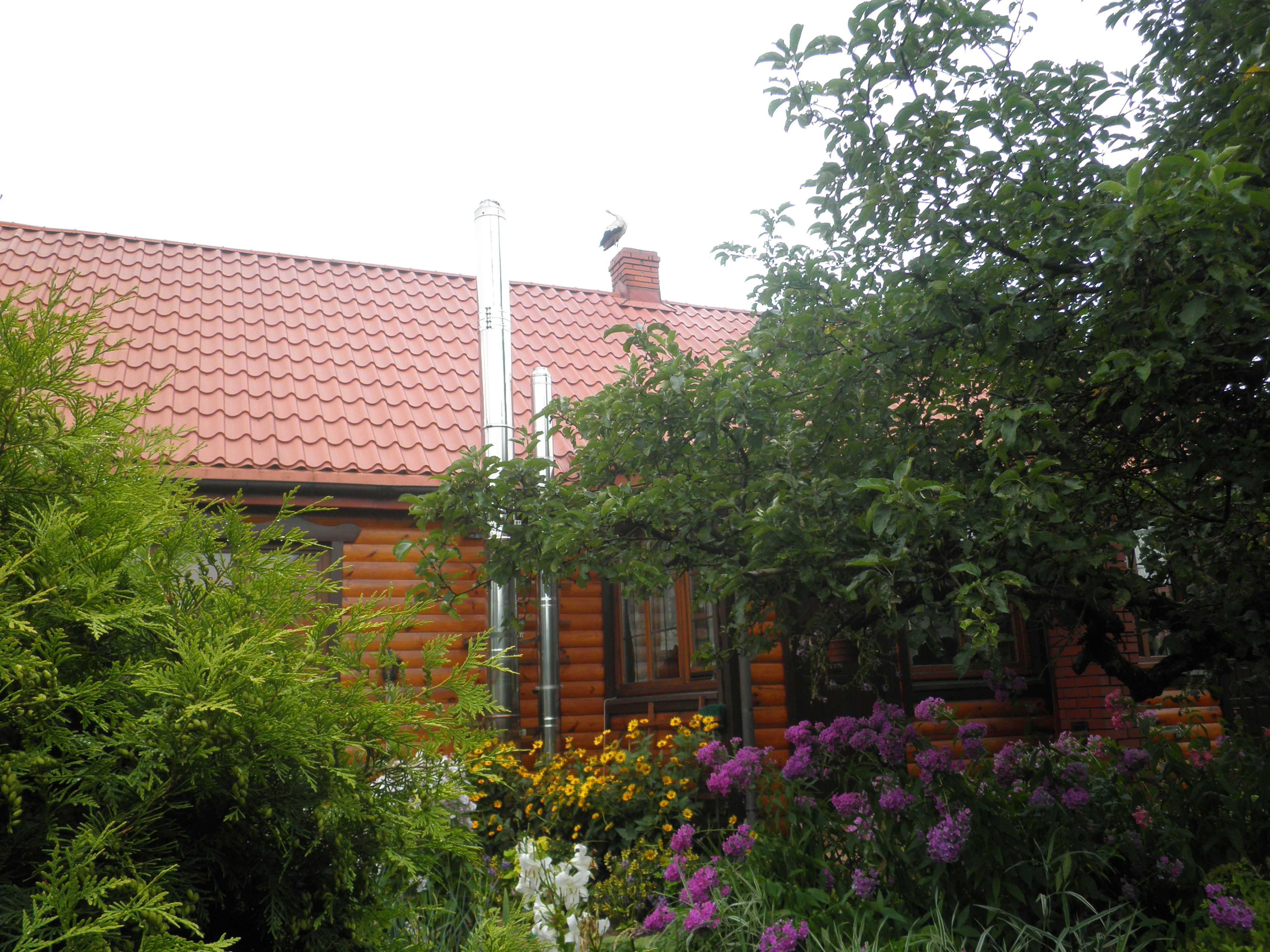 Bajeczny Domek - Agroturystyka - Białowieża