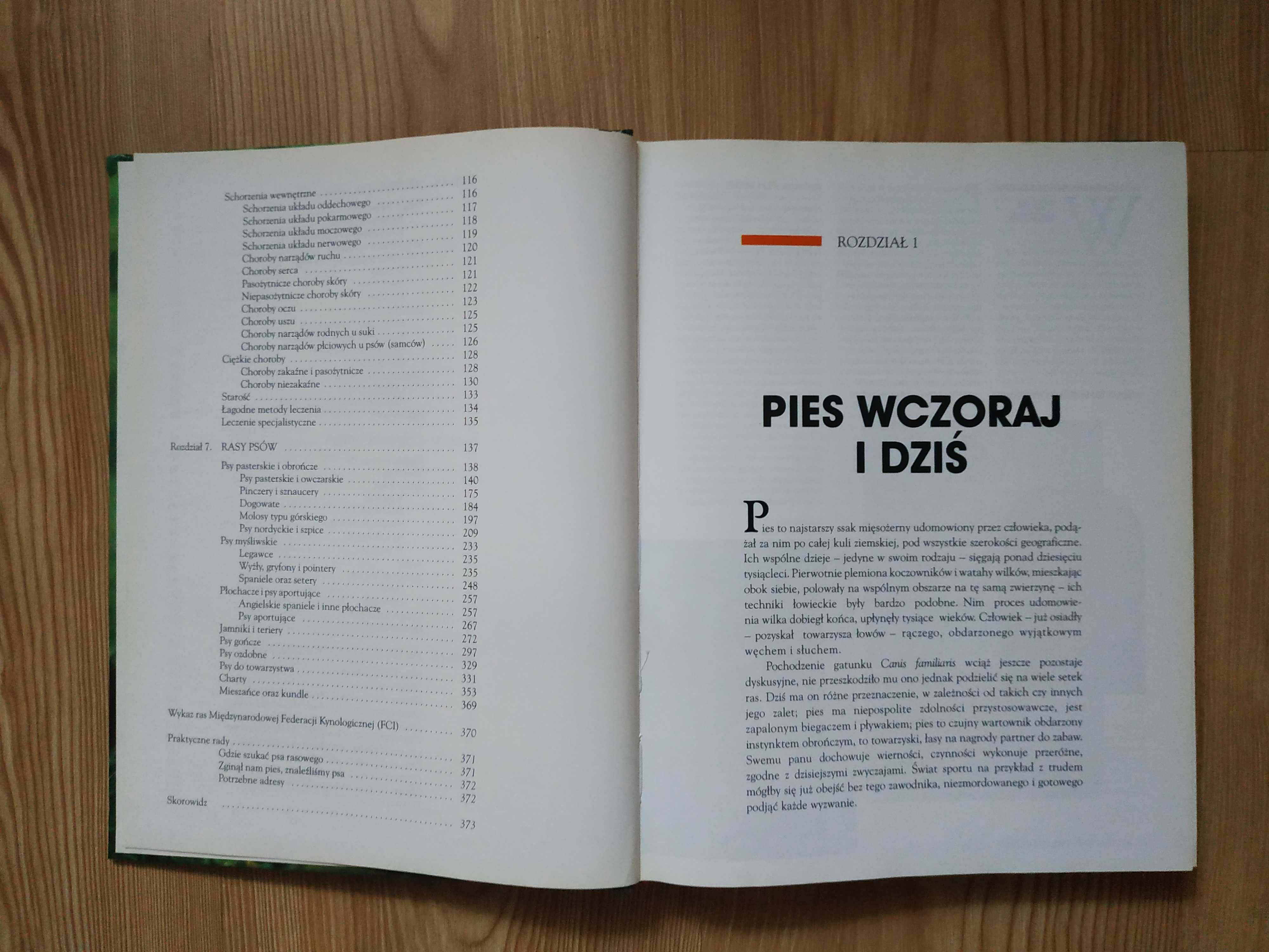 Encyklopedia Pies - Bogaty Przewodnik dla Każdego Miłośnika Psów