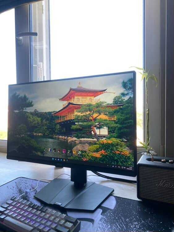 Монітор ігровий MSI G255PF E2