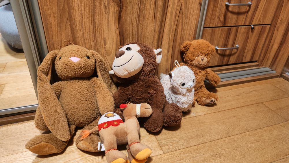 Pluszaki. Małpka. Lama. Wielbłąd. Króliczek. Miś