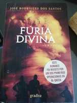 Livro em bom estado, como novo. História interessante e cativante.