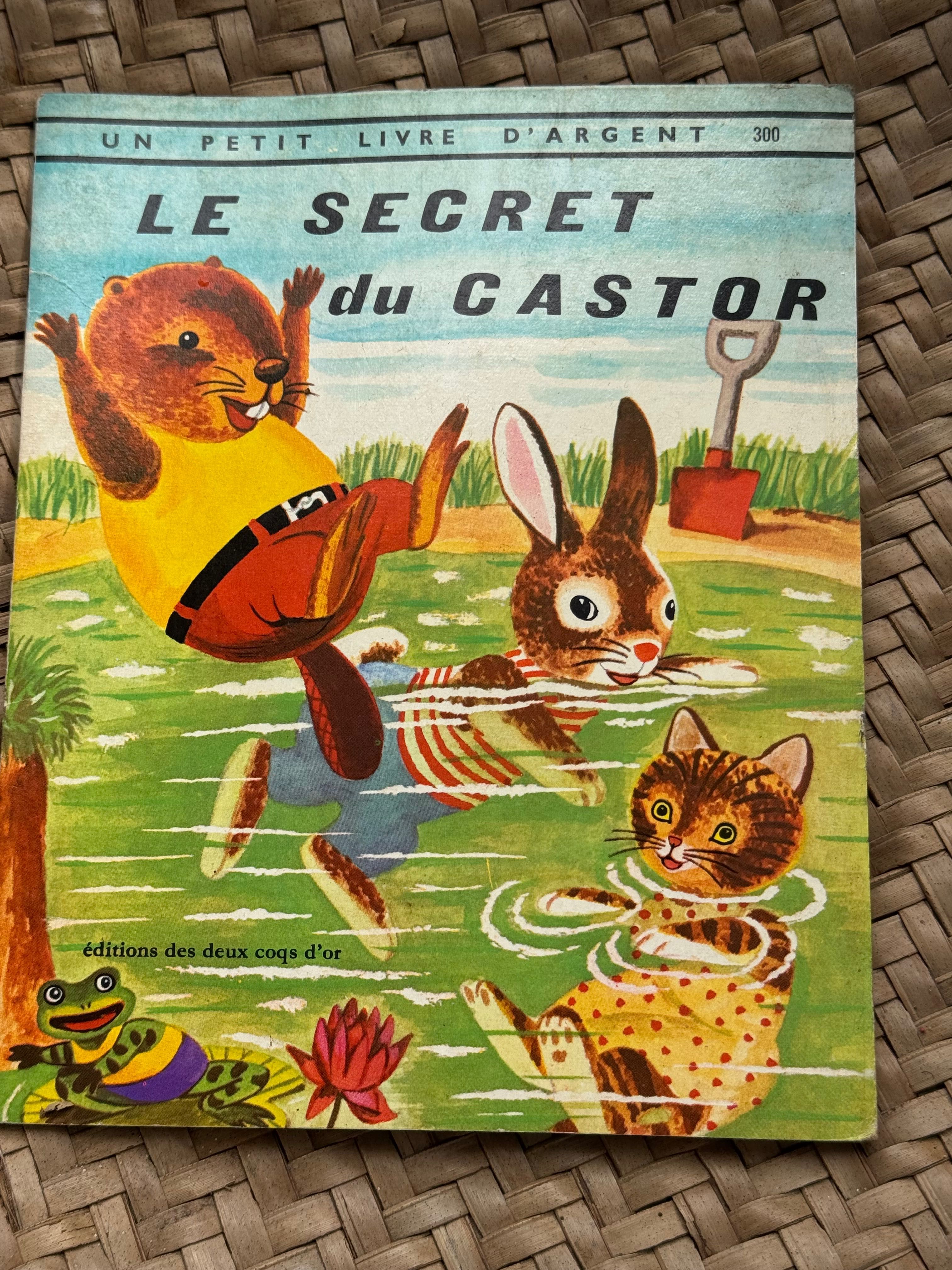 Coleção de livros infantis em francês.