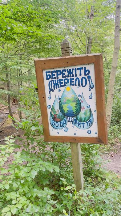 Продаж земельної ділянки в Карпатах, Косівщина