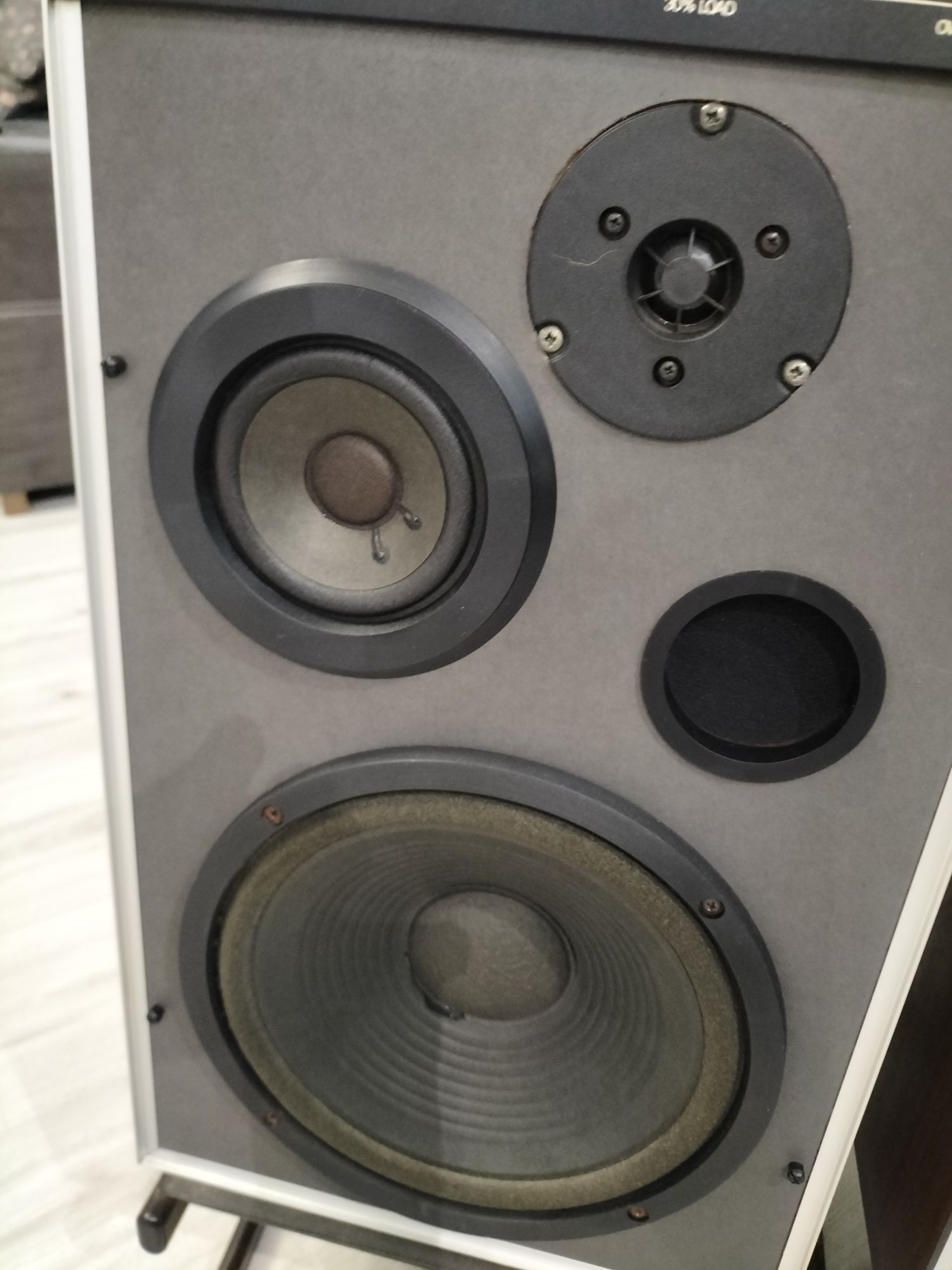 Kolumny głośnikowe SKANIA 100LD Philips
