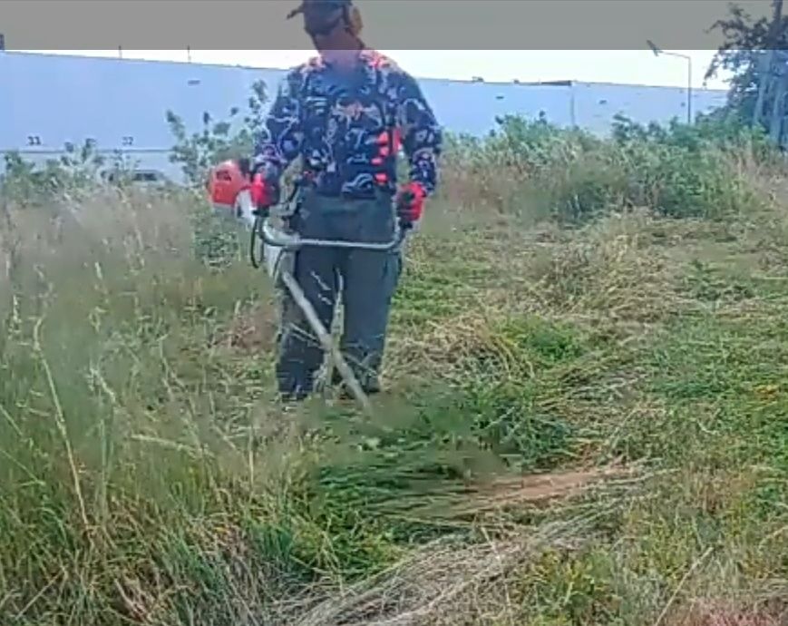 Wykaszanie, koszenie zarośli i trudnych traw ,drzewek gałęzi, wywóz.