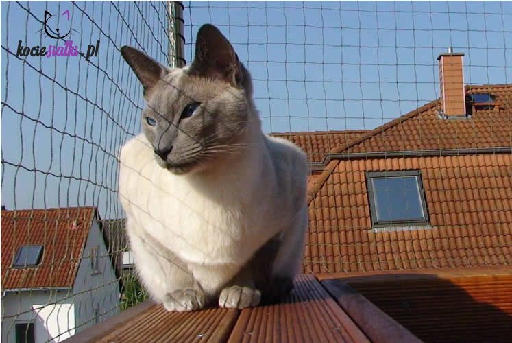 Siatka wzmacniana Trixie 3x4 dla kota, na balkon, zabezpieczenie