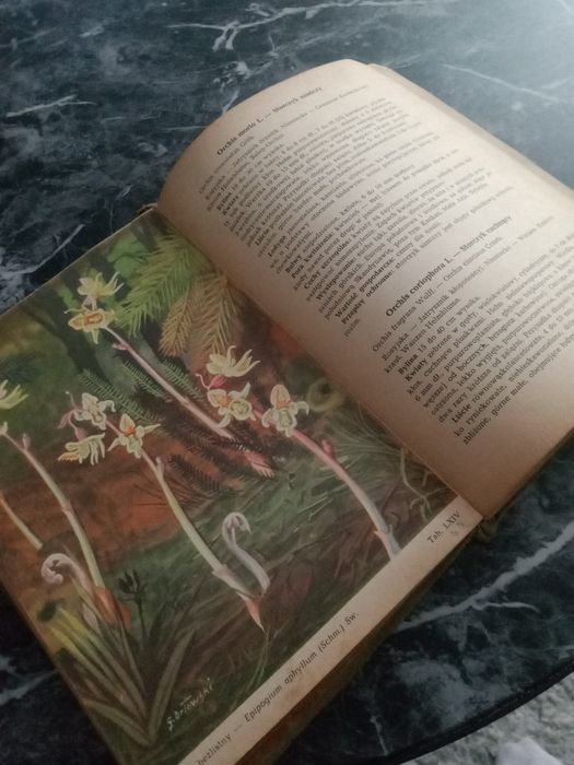 Ochrona roślin w Polsce książka