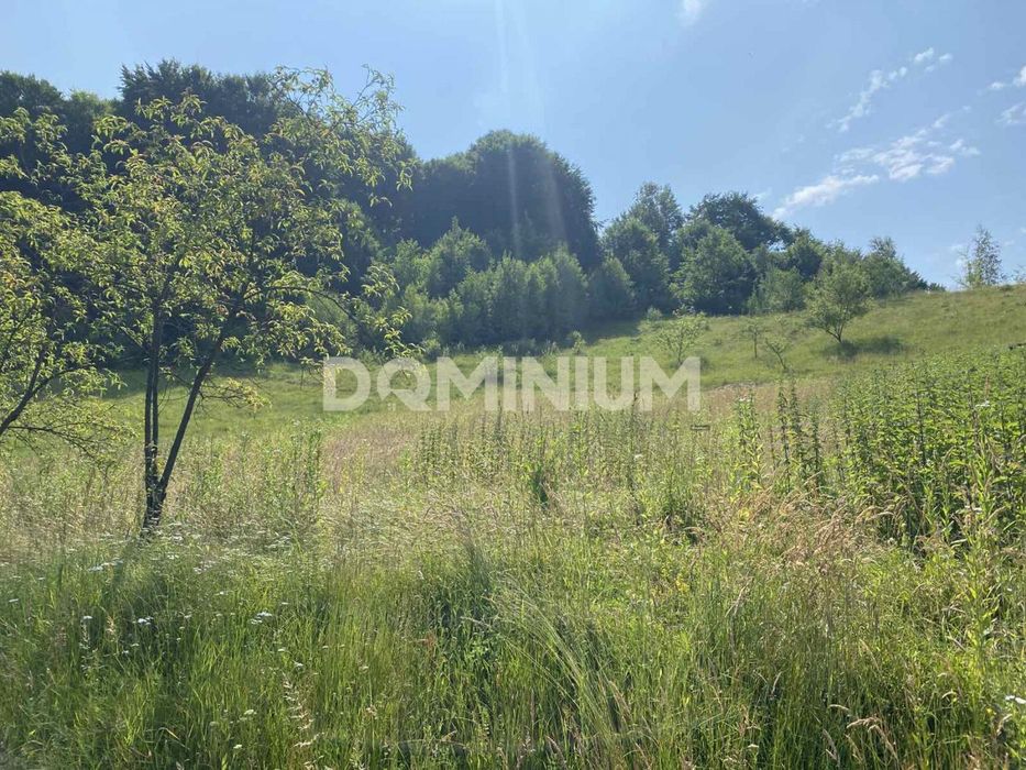 Продається будинок у самому серці Карпат