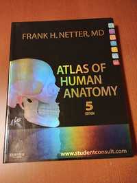 Netter Atlas de Anatomia Humana 5 ed