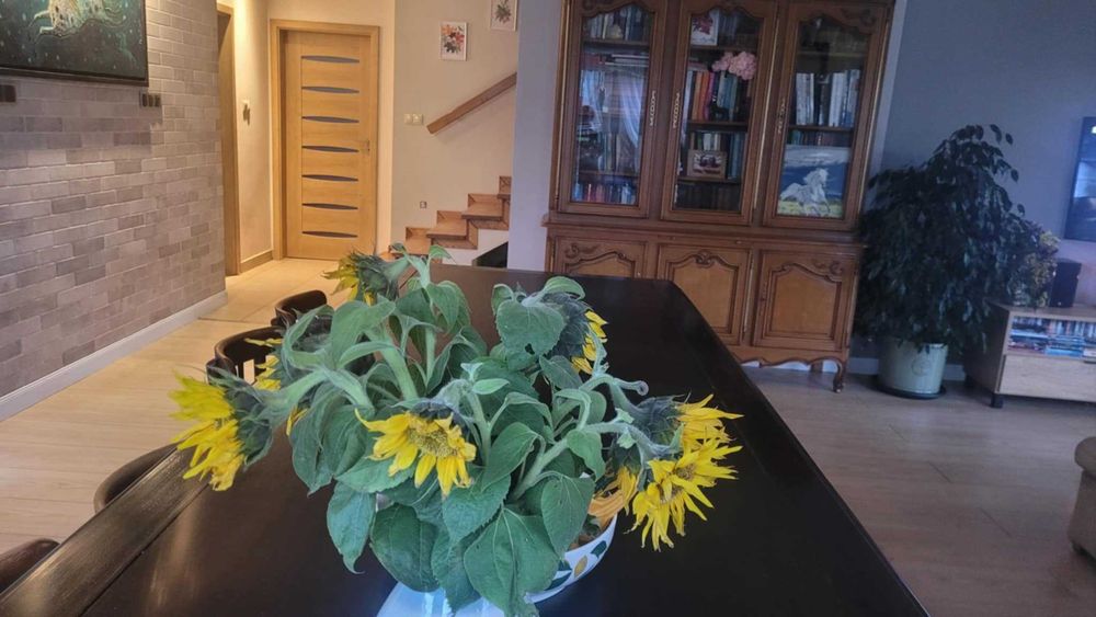 Dom z ogrodem w Lesznie - gotowy do zamieszkania