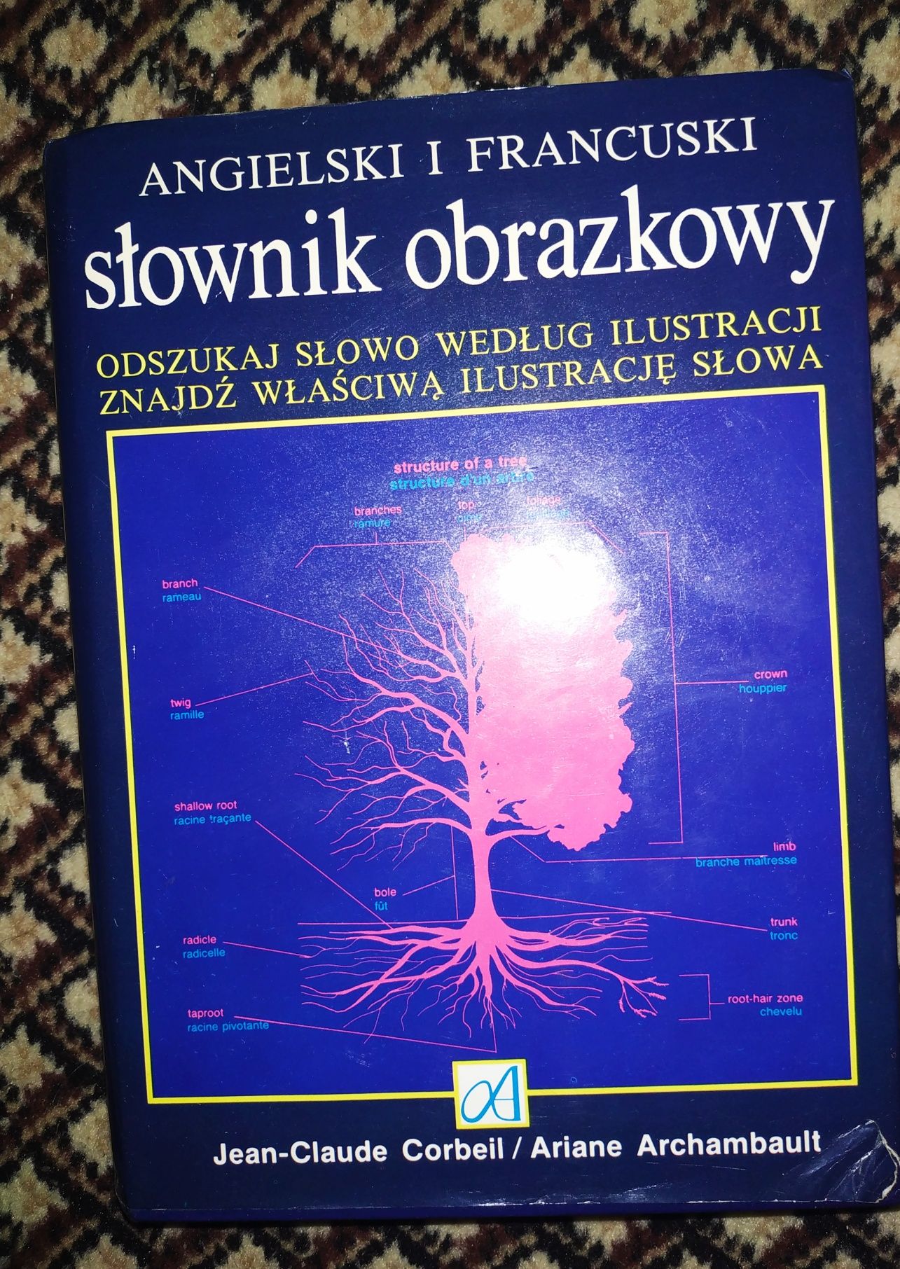 Angielski i francuski słownik obrazkowy J. Corbeil