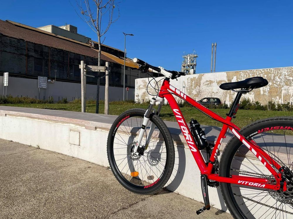 Bicicleta montanha