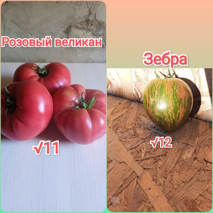 Семена помидор,перец,тыква,дыня,рукола