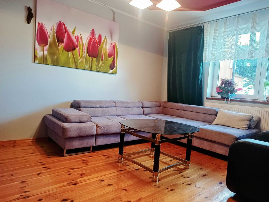 domek całoroczny na wynajem