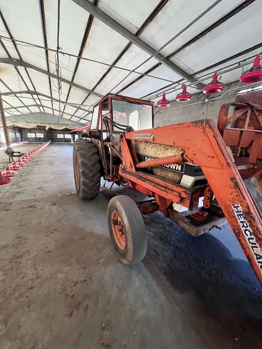 Trator David Brown com freze aterlado abre regos e pá