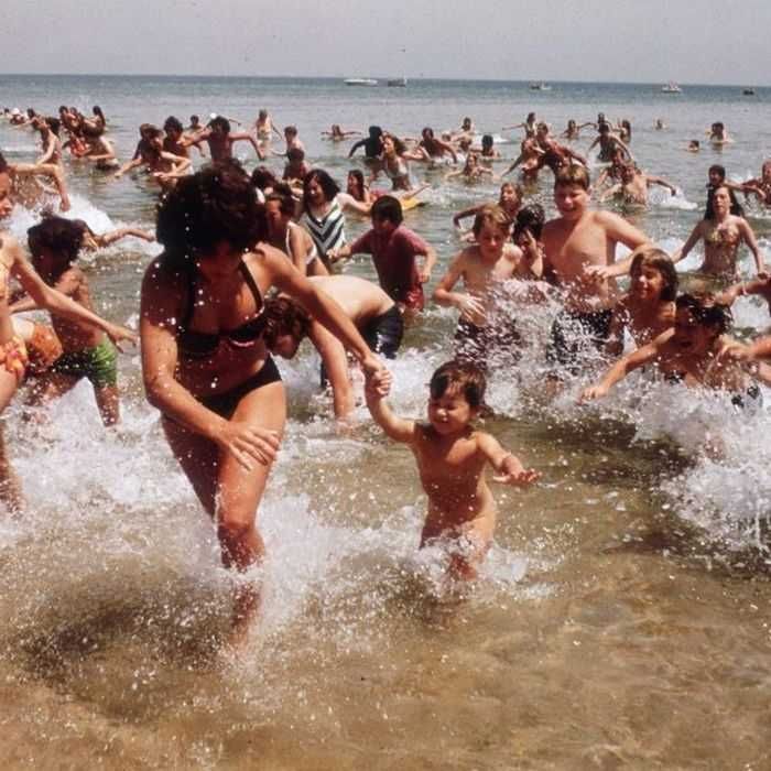 Coleção TUBARÃO ( II, III e IV A Vingança) O Terror está de volta!