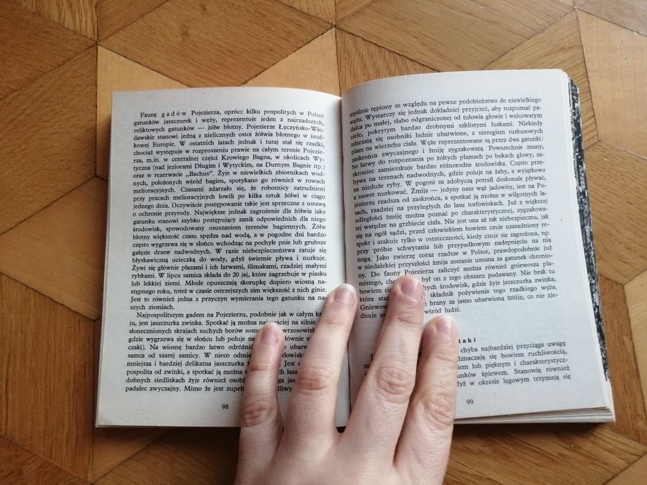 Pojezierze łęczyńsko-włodawskie. Przyroda polska