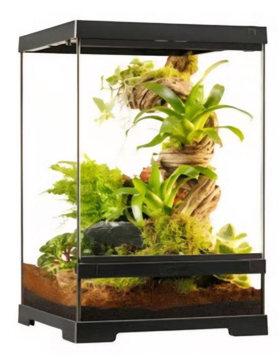 Terrarios deferentes tamanhos