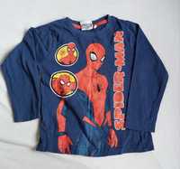 Koszulka z długim rękawem Spiderman