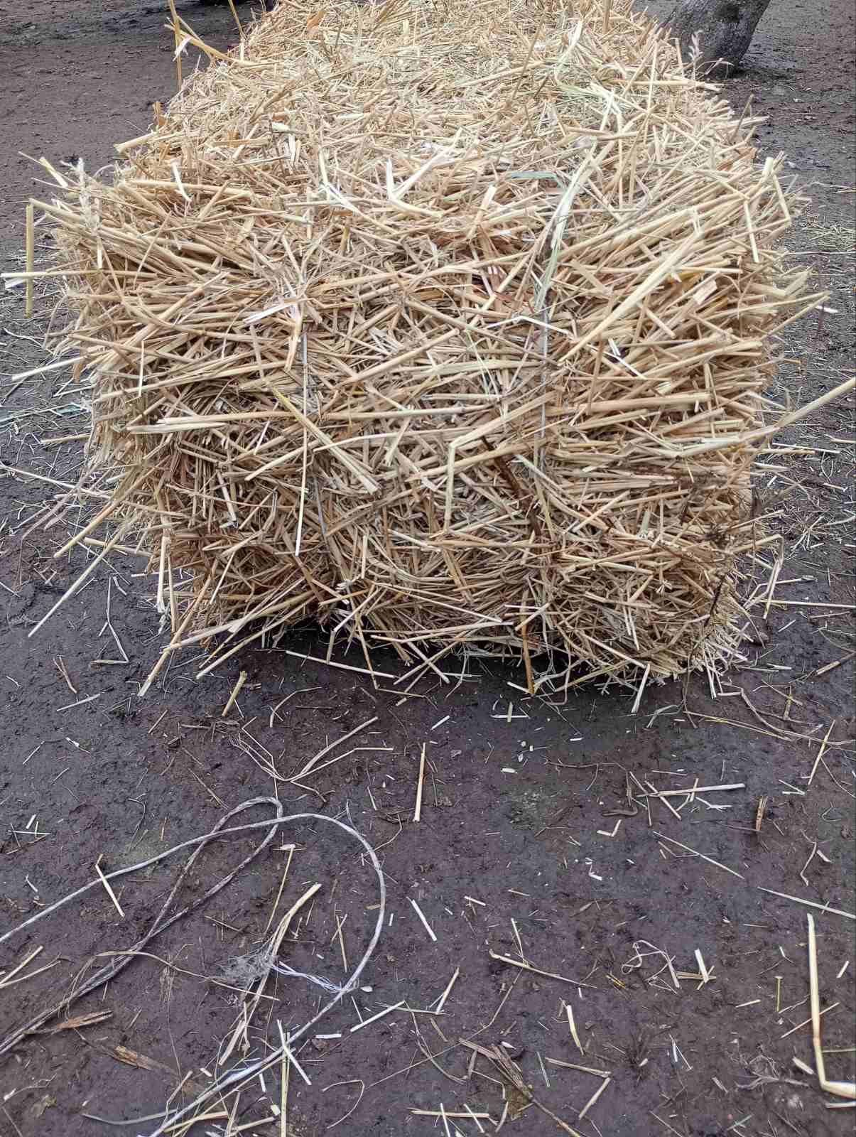 Продаю тюки соломи