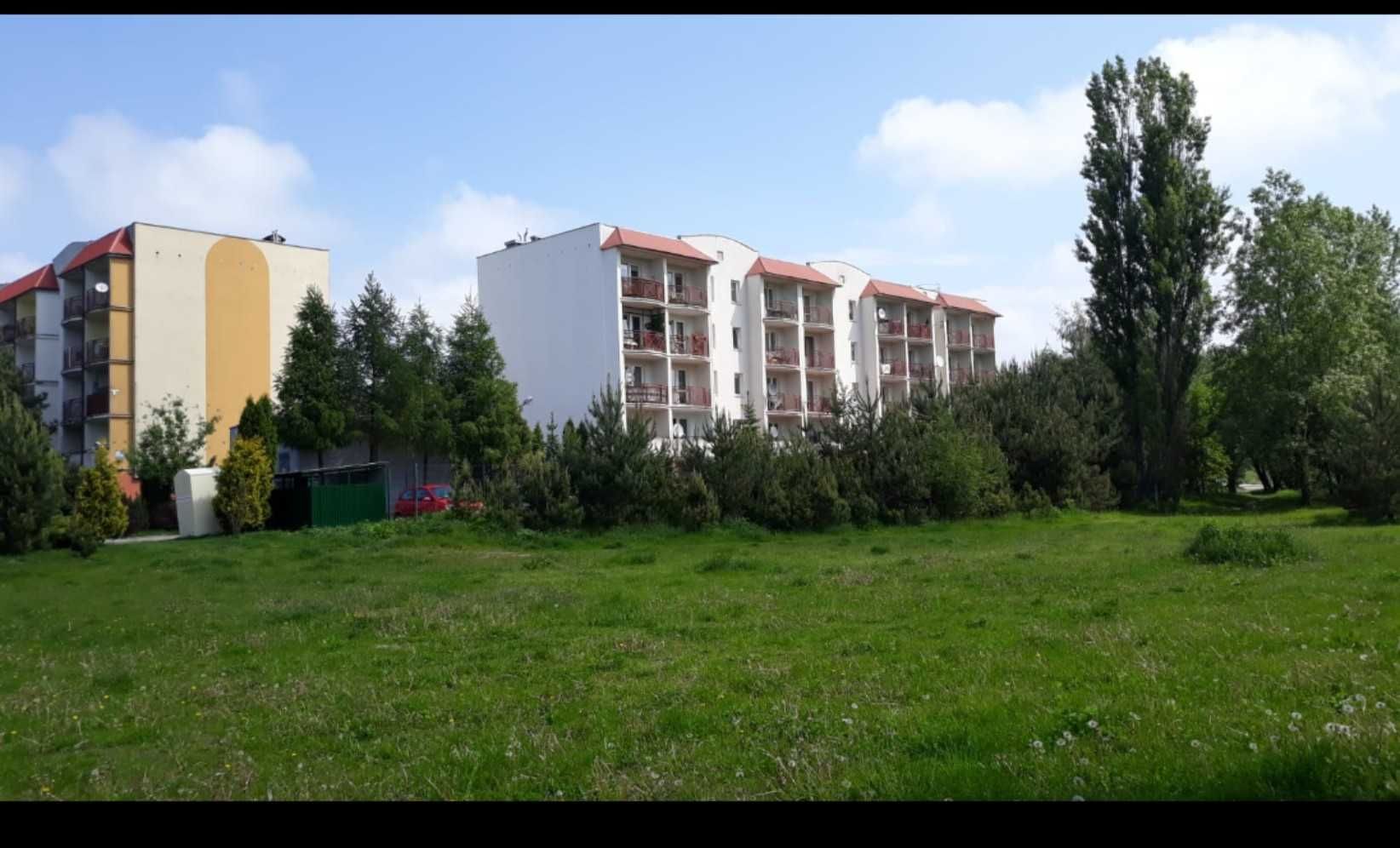 Wynajmę mieszkanie Olechów