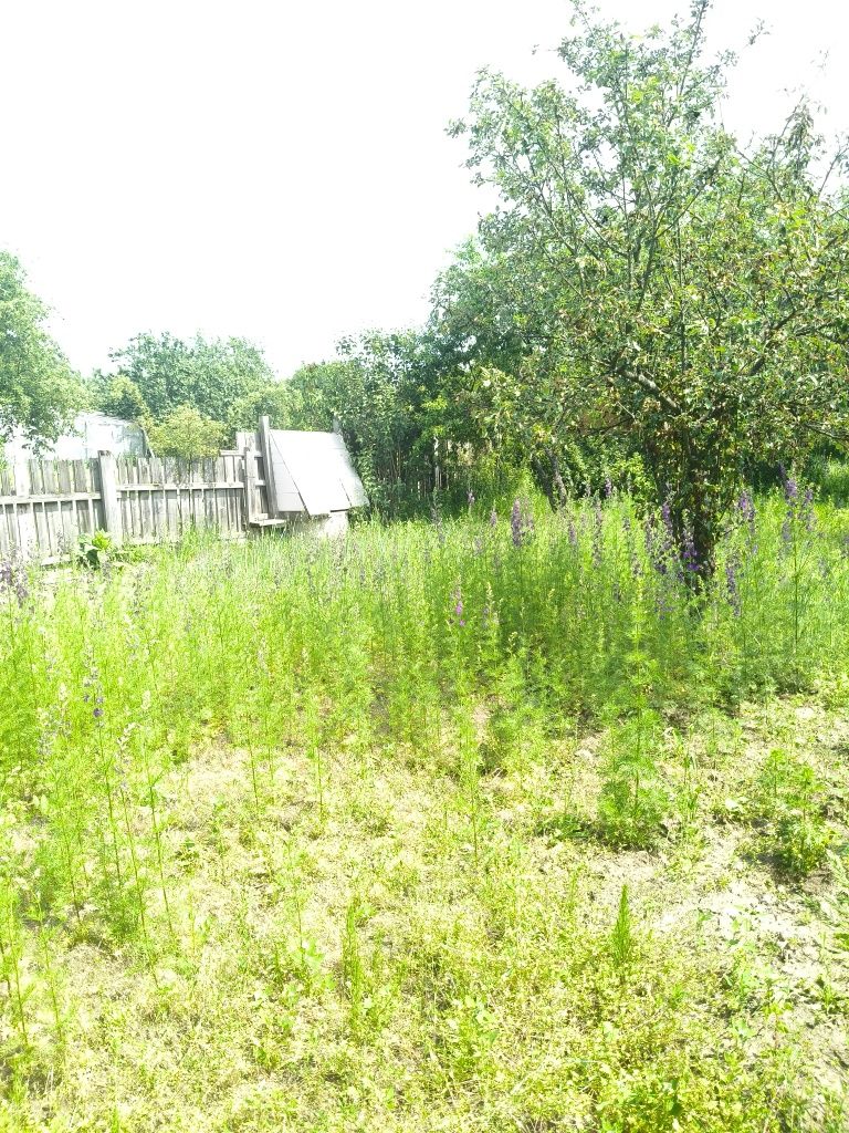 Продаж дачі,Вільський масив!