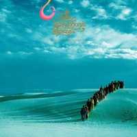 POLYPHONIC SPREE    2 cd  zestaw    indie art rock