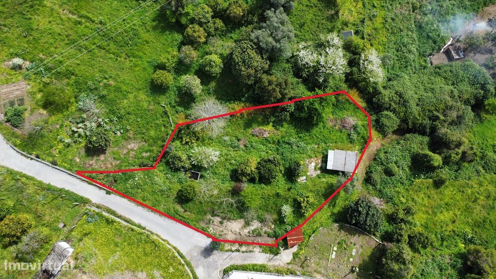 Terreno, Pessegueiro do Vouga