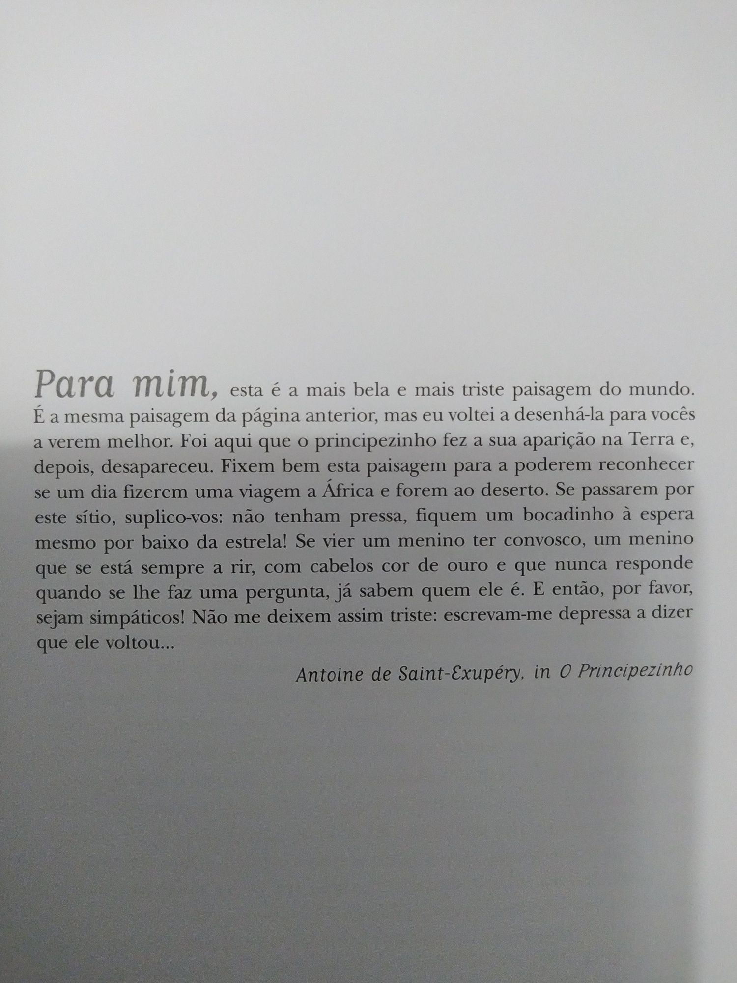 Livro - Encontrei o principezinho