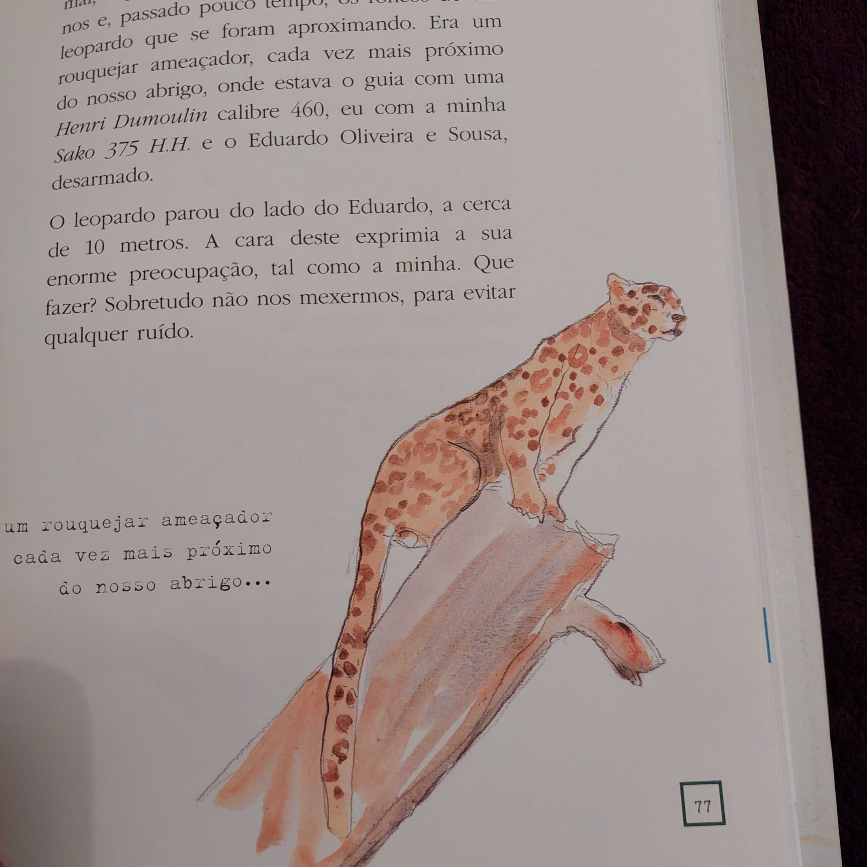 O maior leopardo de África e outras histórias, de Manuel de Lencastre