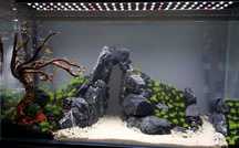 Czarny Kamień do Akwarium Skała Black Grey Stone Malawi Tanganika Grys