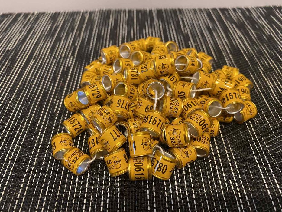 РОЗПРОДАЖ! Кільця метало-пластикові  8мм,10мм 2025 рік