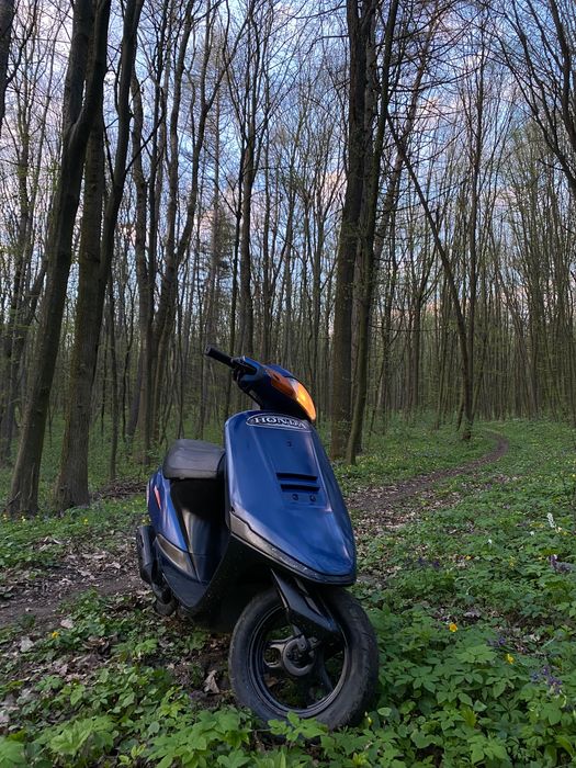 Продам скутер Honda Takt f24