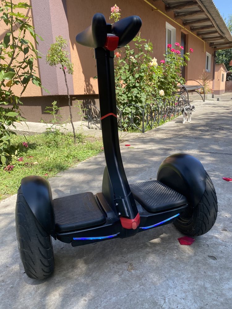 Сигвей ninebot