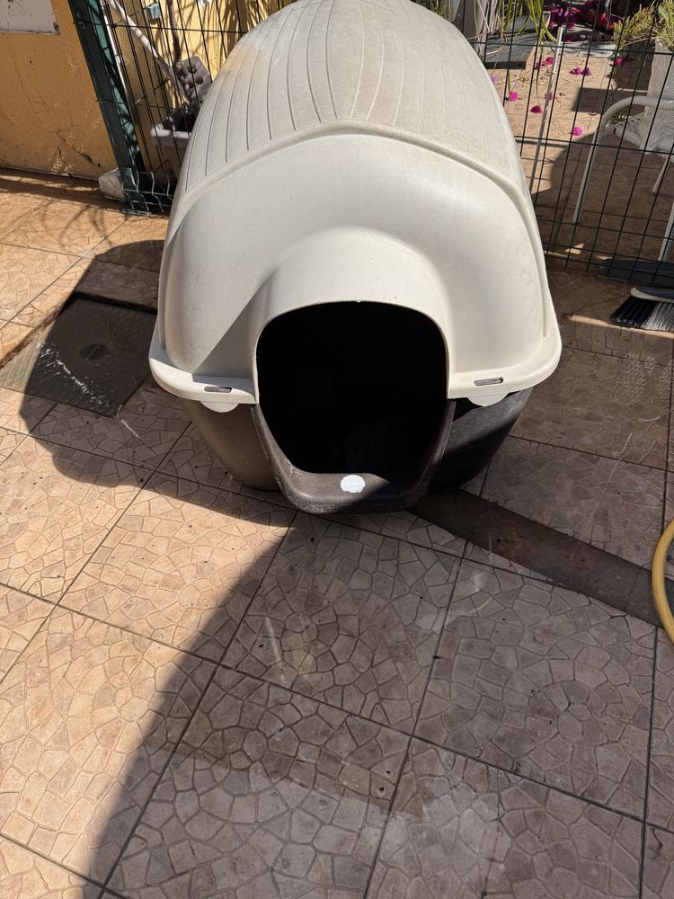 Casota para cao