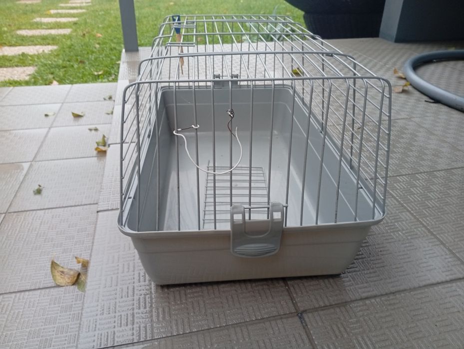 Gaiola coelho,  roedores