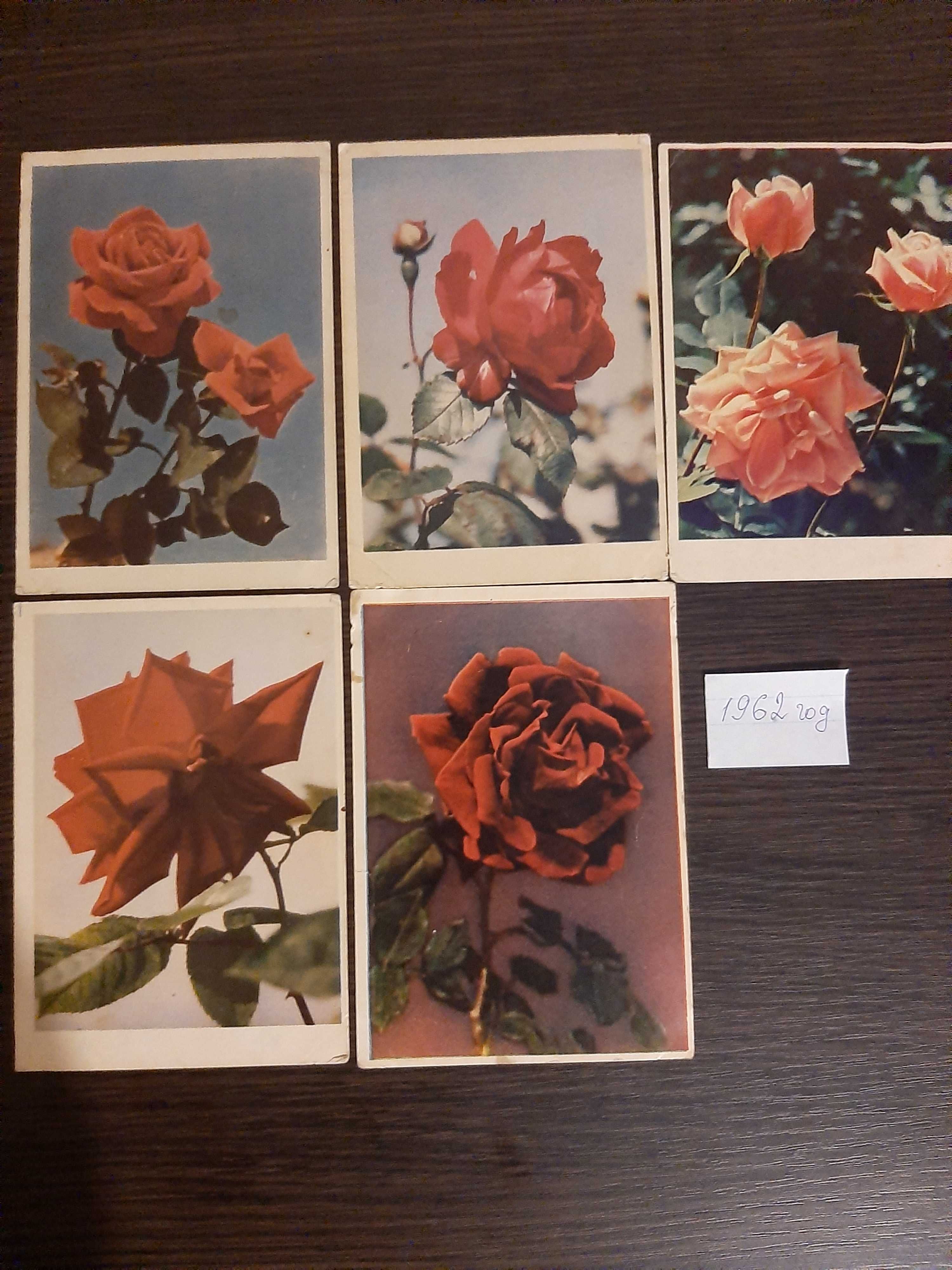 Открытки СССР ретро коллекция " Розы"