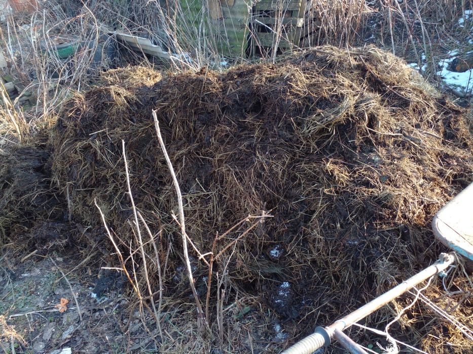 Перегній, Козиний навоз, удобрение,, Добриво, Перегной, мульча, биогу