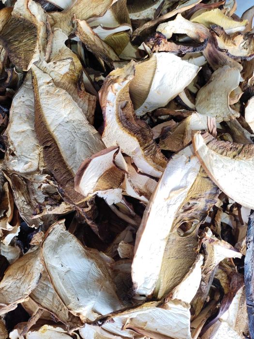 Сушені гриби білі/польські! Великий об'єм(ОПТ)