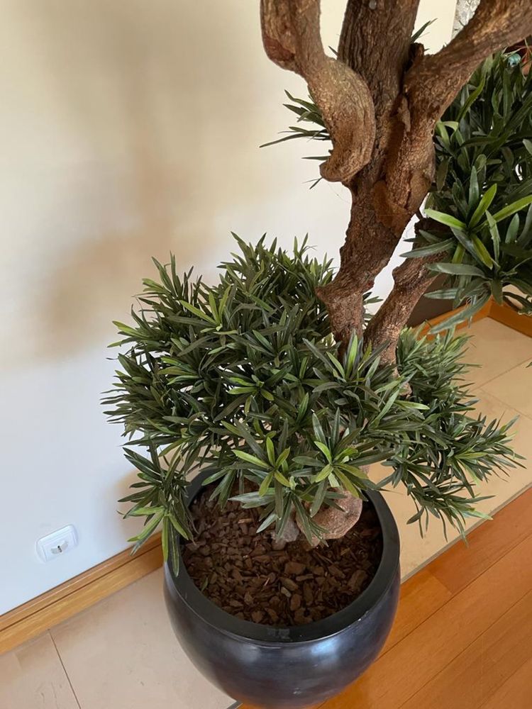 Planta Artificial - Podocarpus com Vaso decorativo