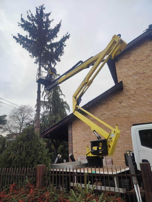 Wycinka drzew , usługi rębakiem,  podnośnik koszowy, frezowanie pni,