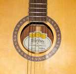 Гитара Washburn WD32 SW (полный массив)